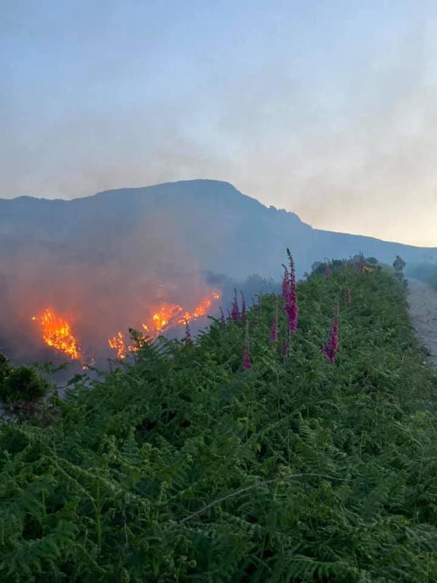 North Wales Chronicle: Jordan Love captured these dramatic photos of the blaze ripping through Holyhead Mountain 