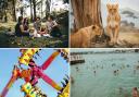 The top 50 outdoor activities families want to enjoy this summer. (Canva)
