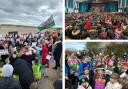 Celebrations across Anglesey and Gwynedd during St David's Day