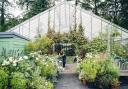 Treborth Botanic Garden
