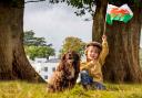 Two-year-old Charlie and his spaniel Bruno visited the game fair from Abergele last year