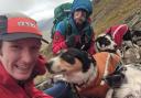 The four dogs and the walker were rescued by the Ogwen Valley Mountain Rescue Organisation