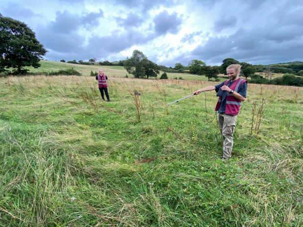 North Wales Chronicle: Tom Major (right) radio-tracking a colony of Aesculapian Rat Snakes. Photo: Dr Wolfgang Wuster