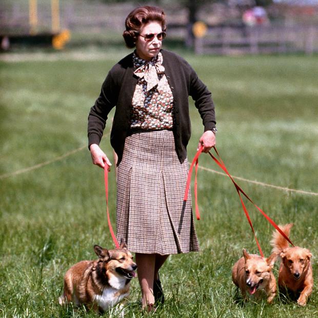 North Wales Chronicle:  The Queen has owned more than 30 Corgis and Dorgis during her reign. PA