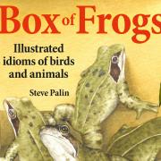 The cover for 'A Box of Frogs'
