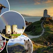 Photos celebrating #Wales from Camera Club members on St David's Day.