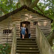 Create your own stories in the treehouse at Plas Newydd